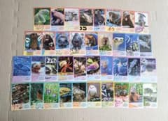 鳥羽水族館 コレクションカード vol.2 とばすいコレカ ラッコ キラ