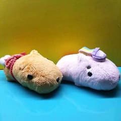KAPIBARASAN의 봉제인형