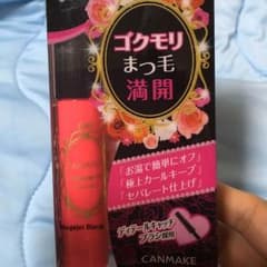 なーちゃさま専用★ゴクモリマスカラ キャンメイクのサムネイル