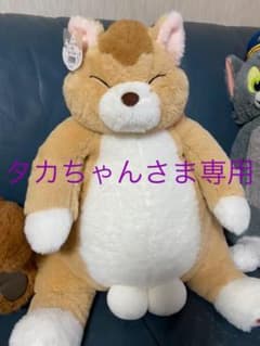 タカちゃんさま専用です。のサムネイル