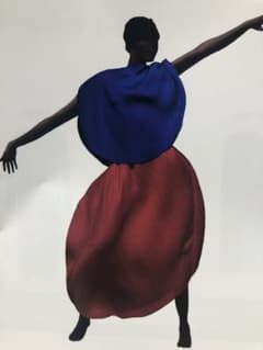 PLEATS  PLEASE ISSEY MIYAKE イッセイミヤケのサムネイル