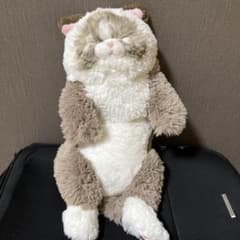 サンレモン ひざ猫 すやすや ラグドールのサムネイル