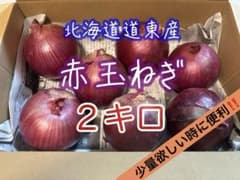北海道道東産 赤玉ねぎ2㎏ 農家直送‼️送料込み - メルカリ
