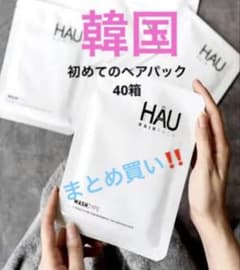 Bulk purchase of 40 boxes (1 carton) of Korean HAU hair packs.