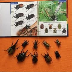 白狐様専用 昆虫フィギュアのサムネイル