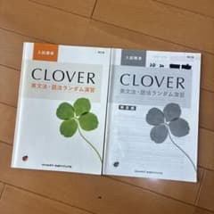 CLOVER英文法・語法ランダム演習入試標準 (新訂版)のサムネイル