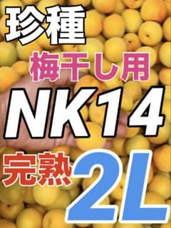 0826【珍種】完熟NK14梅 2Lサイズ4kg 梅干し用　キルトパッチ梅店のサムネイル