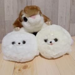 もちもふアザラシ2種+おまけ（モモンガ）付きのサムネイル