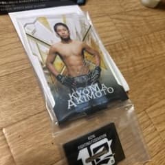 아키모토 강진 아크릴 스탠드 RIZIN 이치 반 쿠지 A상
