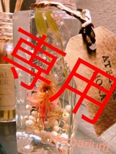 angel、grasslandのサムネイル