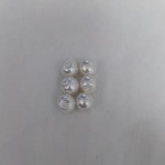 ボタン　パール調　白