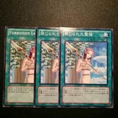 るあ様専用 遊戯王 禁じられた聖槍  即買いOKのサムネイル
