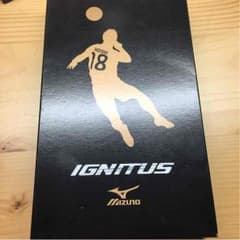 専用ページのサムネイル