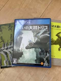 人喰いの大鷲トリコ PS4のサムネイル