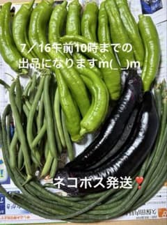 野菜 詰め合わせ 7／16 ネコポス発送❣️ - メルカリ
