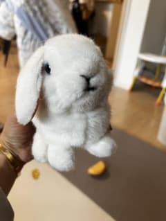 KÖSEN ホワイトウサギ ぬいぐるみのサムネイル