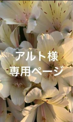 アルト様専用ページのサムネイル