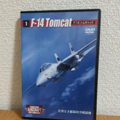 F-14 Tomcat 比類なき艦隊防空戦闘機のサムネイル