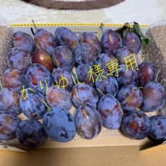 かりゆし様専用です。のサムネイル