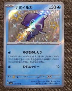 ナミイルカ　sのサムネイル