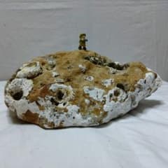 貝殻付き砂岩　¥3,900(フィギュアは付きません)→¥ 2,700に値下げのサムネイル