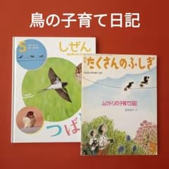 たくさんのふしぎ　キンダーブックしぜん　ムクドリの子育て日記　つばめ たくさんのふしぎ キンダーブックしぜん ムクドリの子育て日記 つばめ