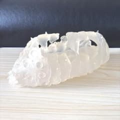 オウム 抜け殻 プランター 王蟲 風の谷のナウシカ ジブリ 栽培セット オウム 抜け殻 プランター 王蟲 風の谷のナウシカ ジブリ 栽培