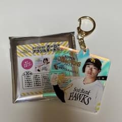 福岡ソフトバンクホークス 柳田悠岐 日本一記念 オーロラアクリル