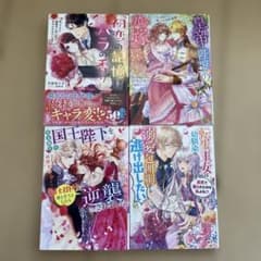 TL小説 4冊セット まとめ売り⑤ - メルカリ