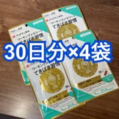アリナミン製薬 ワーキングメモリー てきぱき習慣 30日分×4袋セット 