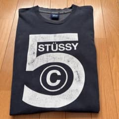 K * 님 희소 OLD Stussy (올드 스튜시) 감 태그 T 셔츠