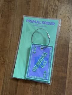 PRIMAL SPIDER~巡らせる糸~ワッペンキーホルダー 岡山限定のサムネイル