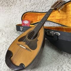 Suzuki スズキ マンドリン No. 230 1972年製 ハードケース付 - メルカリ