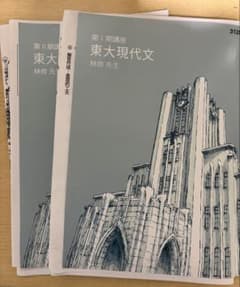 東大東進2025年度 東大現代文 林修の解説プリ付き2冊セット - メルカリ