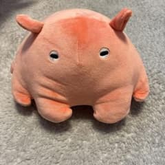 メンダコくじ　ぬいぐるみ　3等のサムネイル
