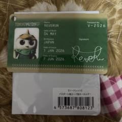 東京ヴェルディ リヴェルン パスポート風カード型キーホルダーのサムネイル