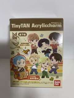BTS TinyTan 아크릴 매력