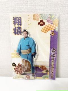 嵐 大野智 ぬいぐるみ ファンメイド 着せ替え マスコット 5×20