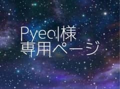 Pyeol様 専用ページのサムネイル