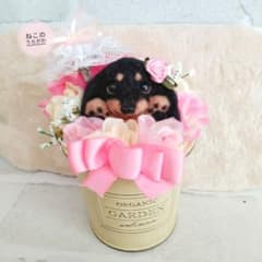♥️羊毛フェルト♥️お花のアレンジメント♪ミニチュアダックスの