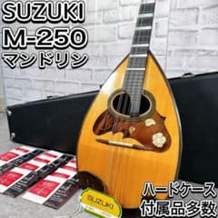 スズキ マンドリン M-250 ハードケース 付属品多数 弦楽器 鈴木