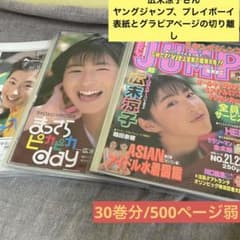 保存版】広末涼子さん 雑誌切り離し30冊分 ヤングジャンプ