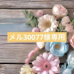 メル30077レジン　花ヘアゴム メル30077様専用 ハンドメイド レジン 花猫ヘアゴム - メルカリ