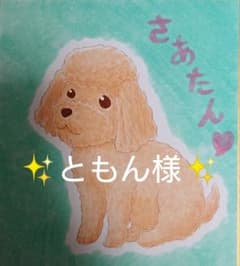 ともん様ご確認ページ✨のサムネイル