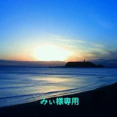 みぃ様専用のサムネイル