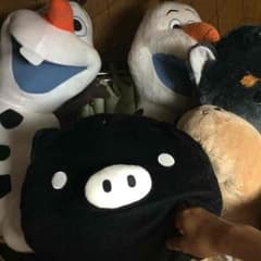 ぬいぐるみ たくさんのサムネイル