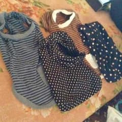 犬用 服 3S セットのサムネイル