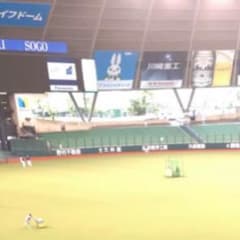 ピンバッチ 専用のサムネイル