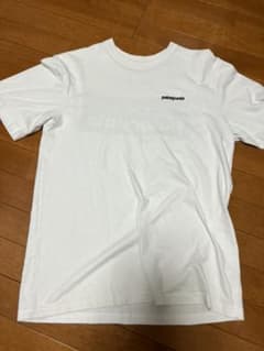 patagonia パタゴニア Tシャツのサムネイル