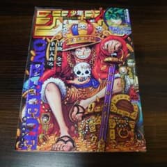 週刊少年ジャンプ2023年25号ワンピース 巻頭カラー - メルカリ